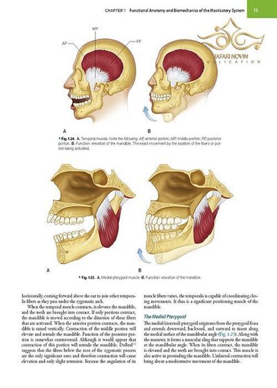 Management of Temporomandibular Disorders and Occlusion 2020