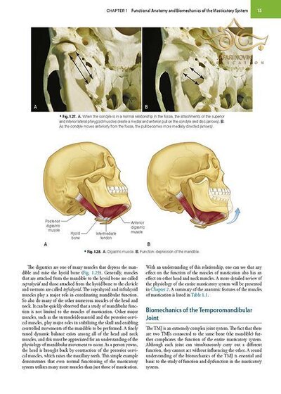 Management of Temporomandibular Disorders and Occlusion 2020