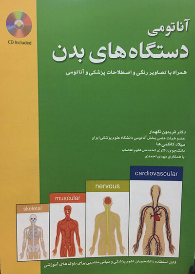 آناتومی دستگاه بدن انسان