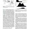 Epidemiology : with STUDENT CONSULT Online Access