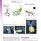 Dentistry at a Glance