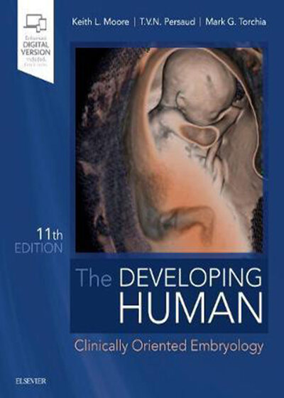 The Developing Human: Clinically Oriented Embryology 2019