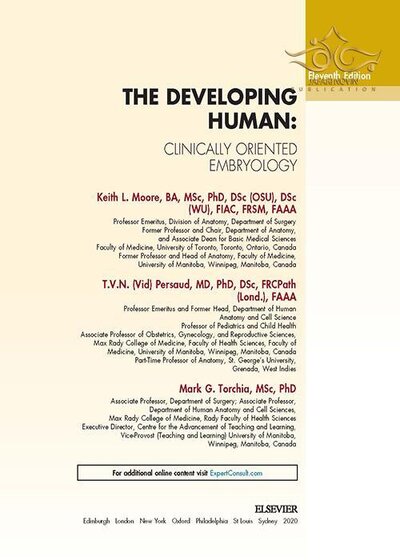 The Developing Human: Clinically Oriented Embryology 2019
