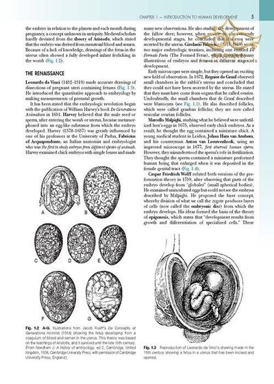 The Developing Human: Clinically Oriented Embryology 2019