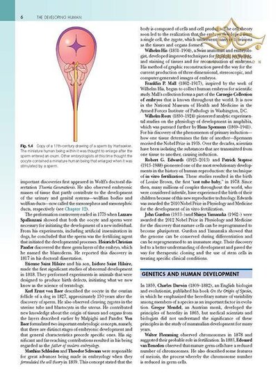 The Developing Human: Clinically Oriented Embryology 2019