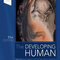 The Developing Human: Clinically Oriented Embryology 2019