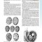 The Developing Human: Clinically Oriented Embryology 2019