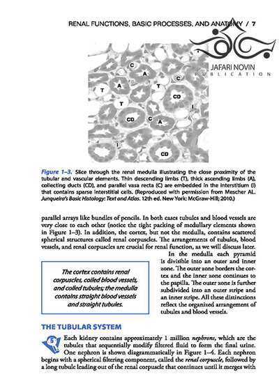 Vanders Renal Physiology, 9th Edition 2018