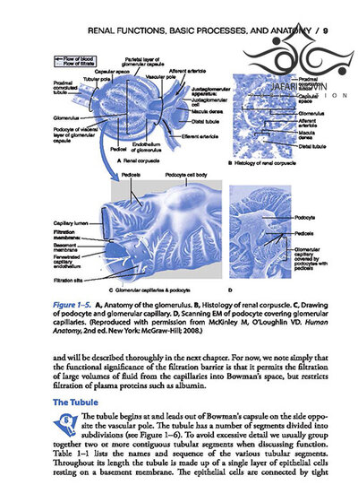 Vanders Renal Physiology, 9th Edition 2018
