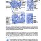 Vanders Renal Physiology, 9th Edition 2018