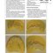 Diseases and Conditions in Dentistry: An Evidence-Based Reference 1st Edition 2018  بیماریها و شرایط در دندانپزشکی: یک مرجع مبتنی بر شواهد