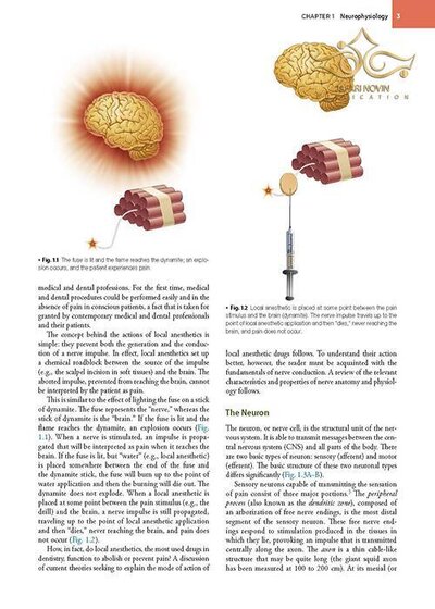 Handbook of Local Anesthesia 7th ed. Edition 2020 کتاب راهنمای بی حسی موضعی