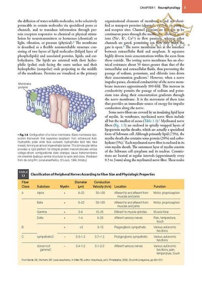 Handbook of Local Anesthesia 7th ed. Edition 2020 کتاب راهنمای بی حسی موضعی