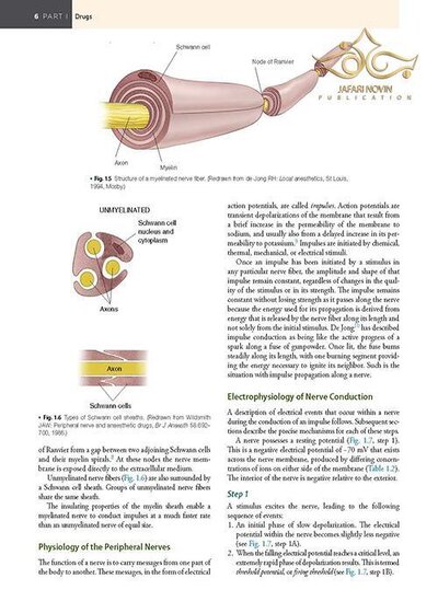 Handbook of Local Anesthesia 7th ed. Edition 2020 کتاب راهنمای بی حسی موضعی