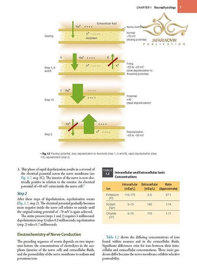 Handbook of Local Anesthesia 7th ed. Edition 2020 کتاب راهنمای بی حسی موضعی