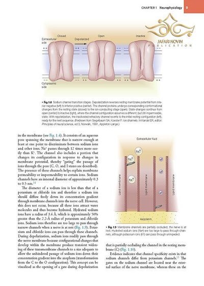 Handbook of Local Anesthesia 7th ed. Edition 2020 کتاب راهنمای بی حسی موضعی