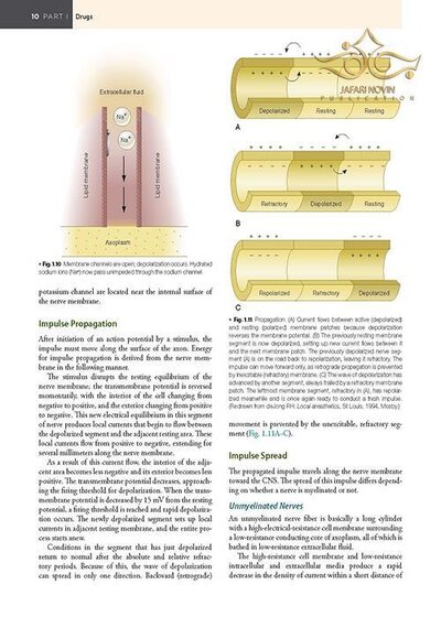 Handbook of Local Anesthesia 7th ed. Edition 2020 کتاب راهنمای بی حسی موضعی