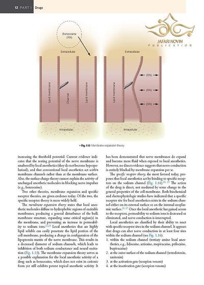 Handbook of Local Anesthesia 7th ed. Edition 2020 کتاب راهنمای بی حسی موضعی