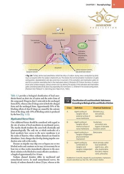 Handbook of Local Anesthesia 7th ed. Edition 2020 کتاب راهنمای بی حسی موضعی