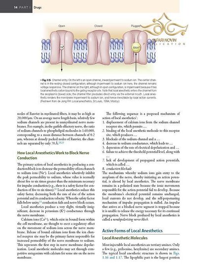 Handbook of Local Anesthesia 7th ed. Edition 2020 کتاب راهنمای بی حسی موضعی