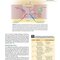 Handbook of Local Anesthesia 7th ed. Edition 2020 کتاب راهنمای بی حسی موضعی