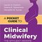 A Pocket Guide to Clinical Midwifery: The Efficient Midwife 2nd Edition 2020 راهنمای جیبی برای مامایی بالینی