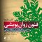 فنون روان پویشی  پرداختن به هیجان در رابطه درمانی