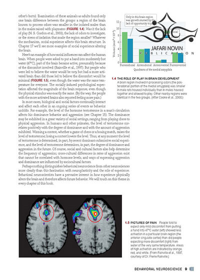 علوم اعصاب رفتاری Behavioral Neuroscience 8th Edition