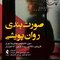صورت بندی روان پویشی