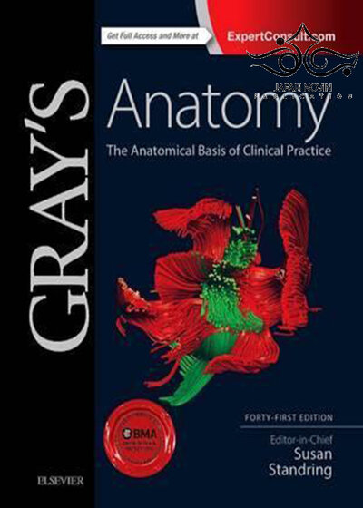 Gray’s Anatomy: The Anatomical Basis of Clinical Practice 41st Edition2015 آناتومی: مبانی تشریحی تمرین بالینی