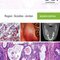 Oral Pathology: Clinical Pathologic Correlations 7th Edition2016 آسیب شناسی دهان و دندان