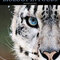 Biology in Focus AP Edition2015 زیست شناسی در Focus AP