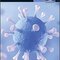 Virology: Principles and Applications, 2nd Edition2013 ویروس شناسی