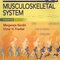 Basic Biomechanics of the Musculoskeletal System, Fourth Edition 2012