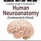 Inderbir Singh’s Textbook of Human Neuroanatomy 10th Edition2017