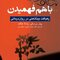 با هم فهمیدن رهیافت بینا ذهنی در روان درمانی