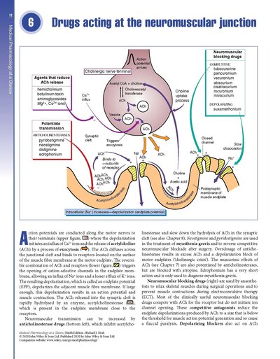 Medical Pharmacology at a Glance 2020