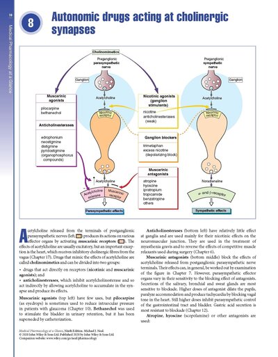 Medical Pharmacology at a Glance 2020