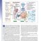 Medical Pharmacology at a Glance 2020