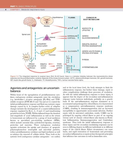 Bailey & Love's Short Practice of Surgery, 28th Edition