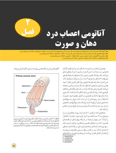 درد دهان و صورت بل