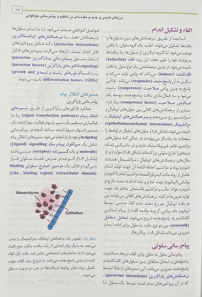 جنین شناسی پزشکی لانگمن 2023