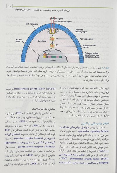 جنین شناسی پزشکی لانگمن 2023