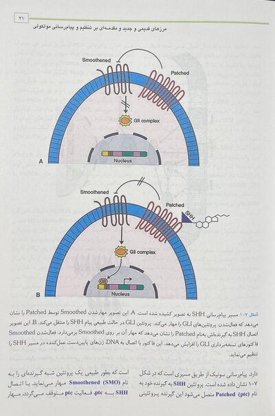 جنین شناسی پزشکی لانگمن 2023