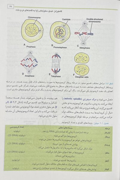 جنین شناسی پزشکی لانگمن 2023