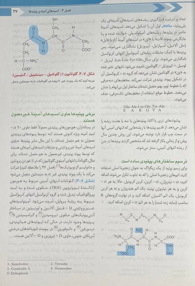 ترجمه کامل بیوشیمی هارپر 2023