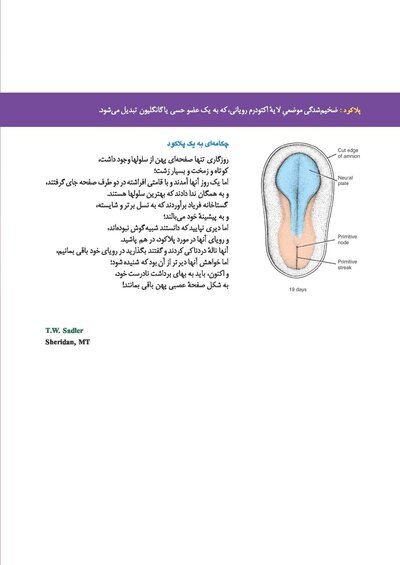 جنین شناسی پزشکی لانگمن 2024