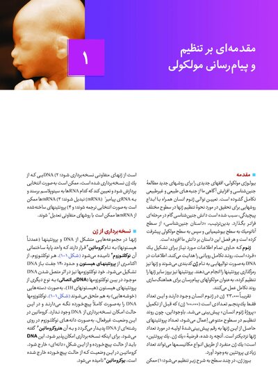 جنین شناسی پزشکی لانگمن 2024