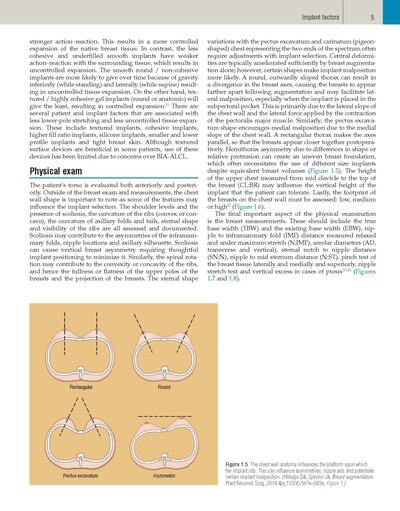 Plastic Surgery Neligan Volume 5: Breast 5th Edition 2023
