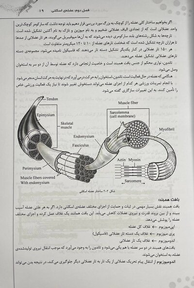 درسنامه جامع فیزیولوژی و تغذیه ورزشی